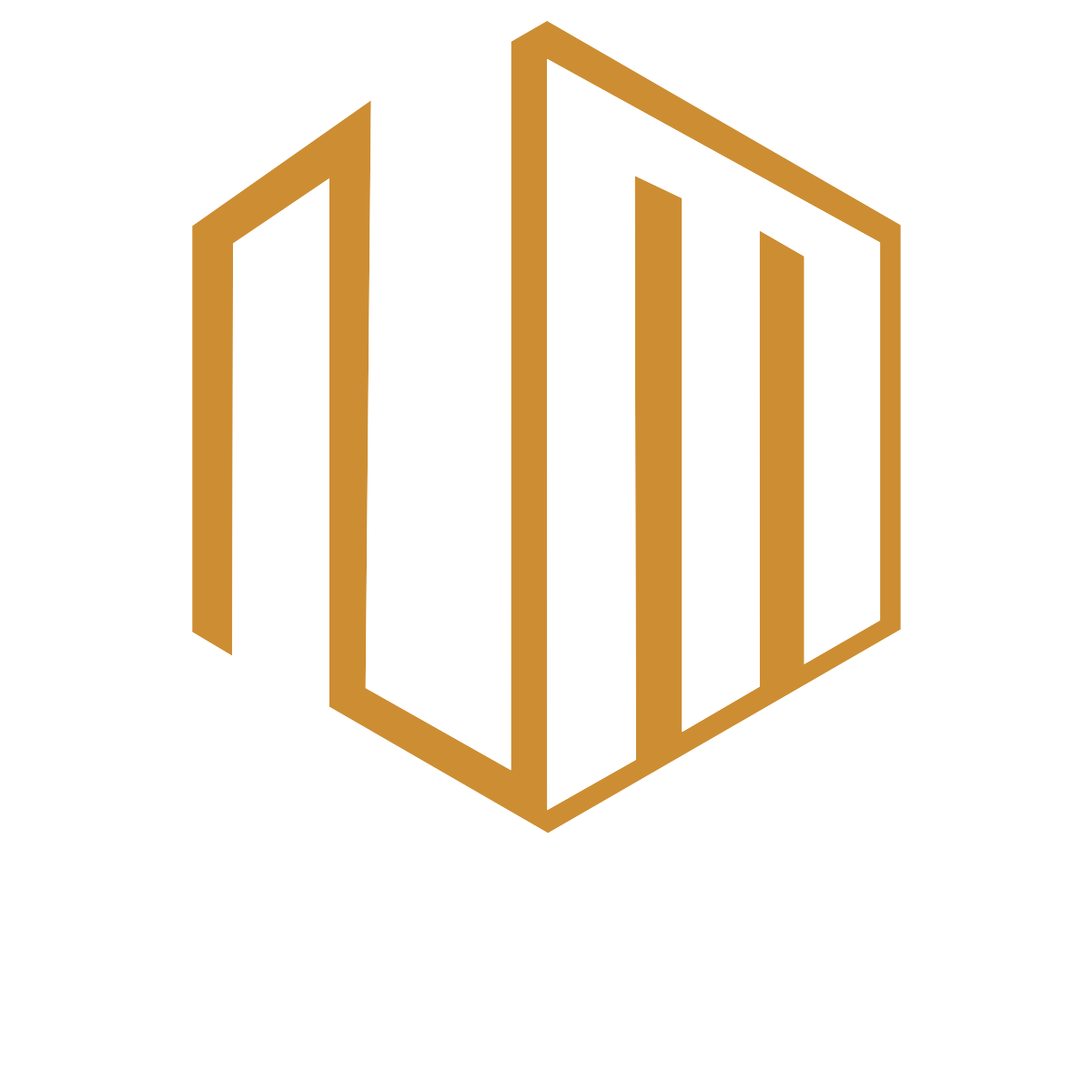 N.M. Arachchi